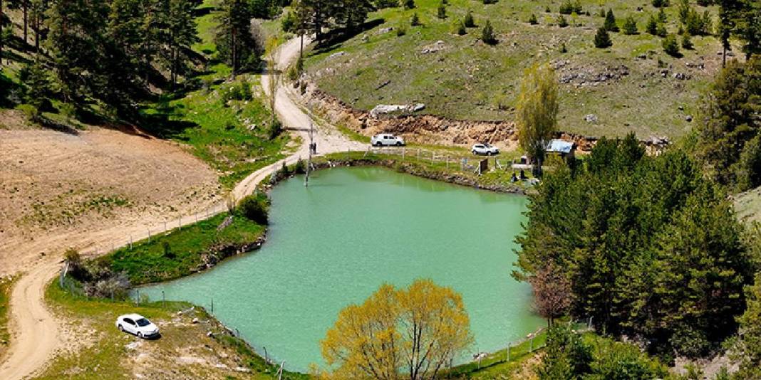 Hafta sonu rotanız şimdiden hazır! Kimse inanmıyor ama burası Yozgat’ta: Çam ormanlarının içinde saklı bir vaha 2